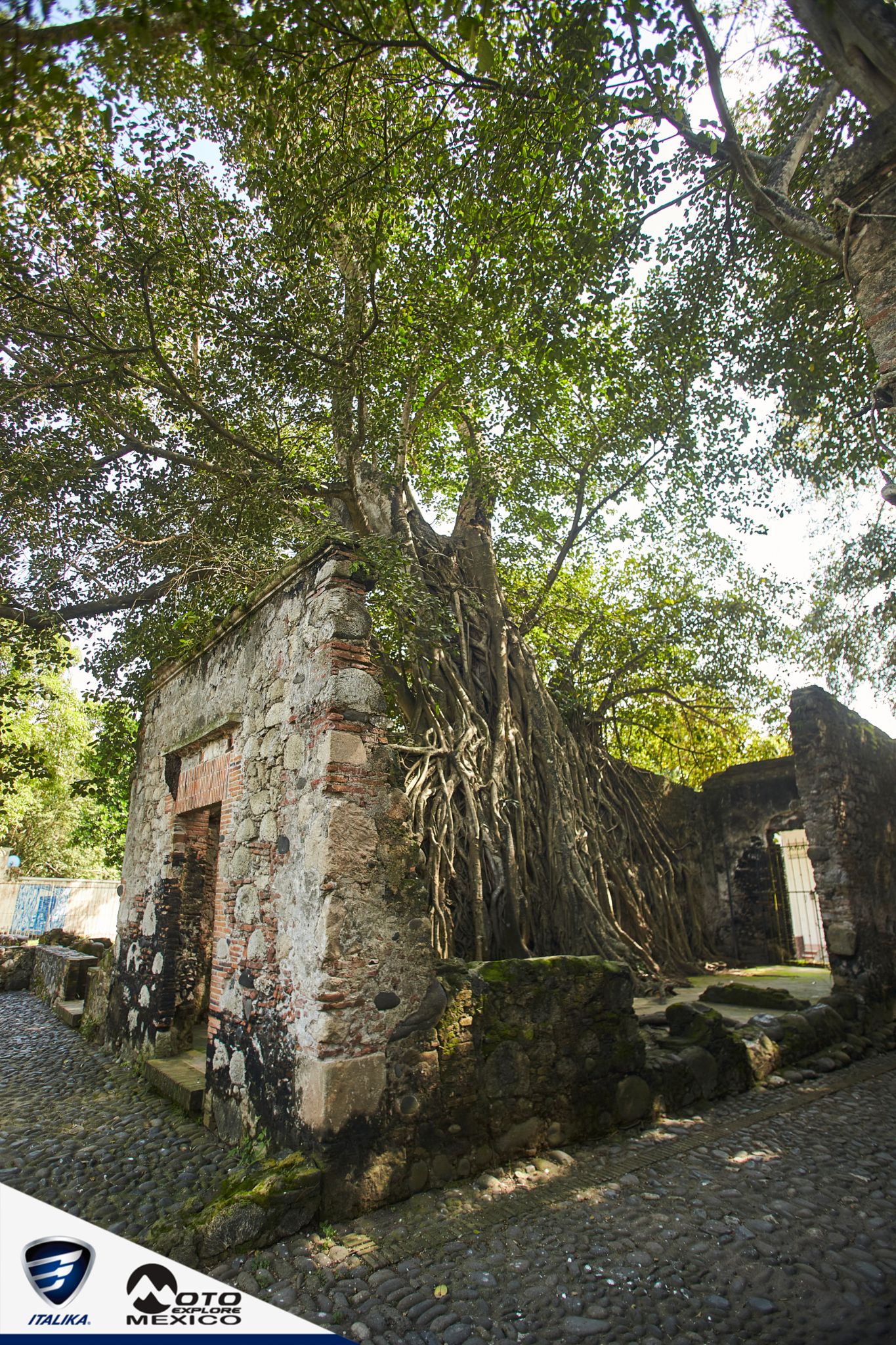 ITALIKA CHACHALACAS D1 264